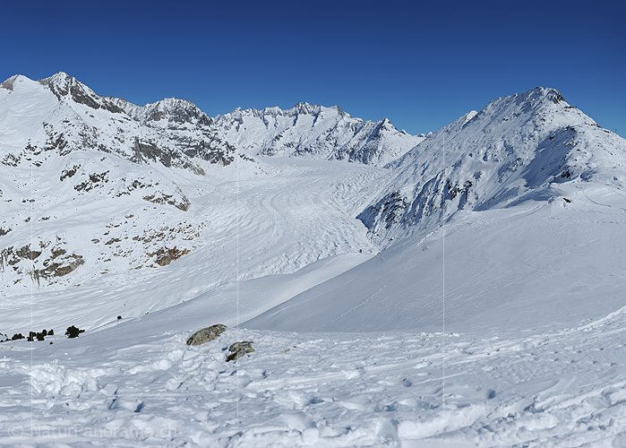 P012222: Hochauflösendes Foto vom Grossen Aletschgletscher von der Moosfluh (Aletscharena)