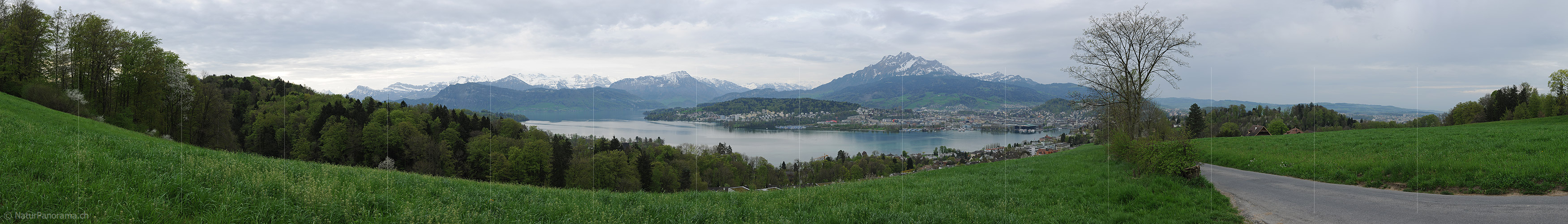 P012394a: Panoramabild Stadt Luzern und Pilatus