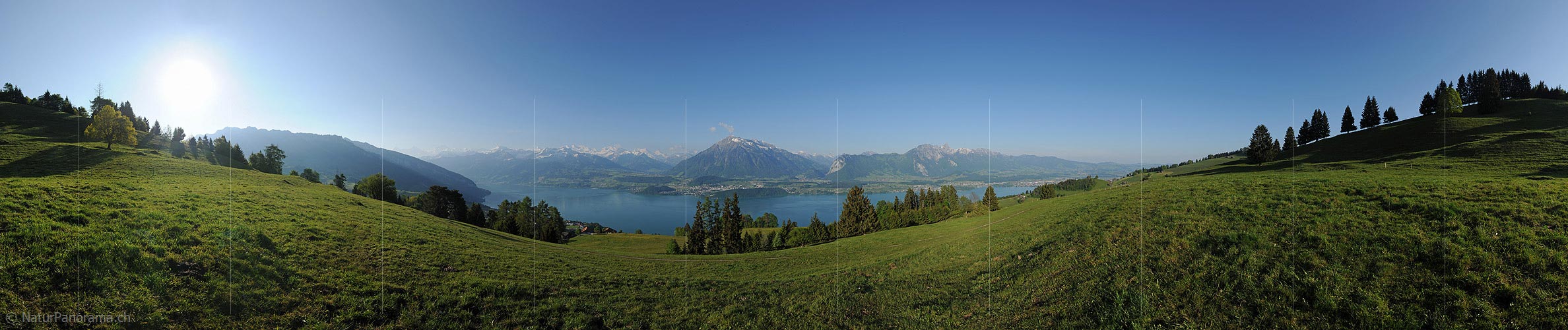 P012772: 360° Panoramic photo Juicy meadow over Lake Thun