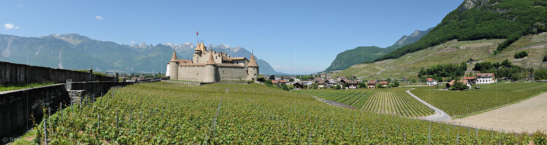 P012884: Panoramafoto Rebberge und Schloss Aigle