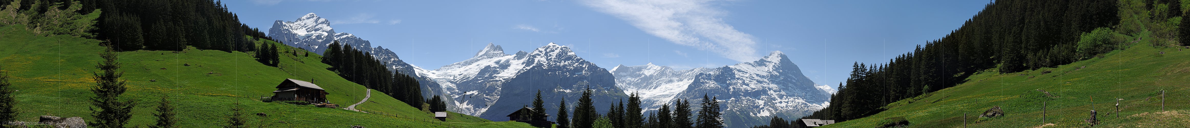 P012933a: Panorama Saftig grüne Alpwiesen vor den Berner Alpen (Wetterhorn und Co.)