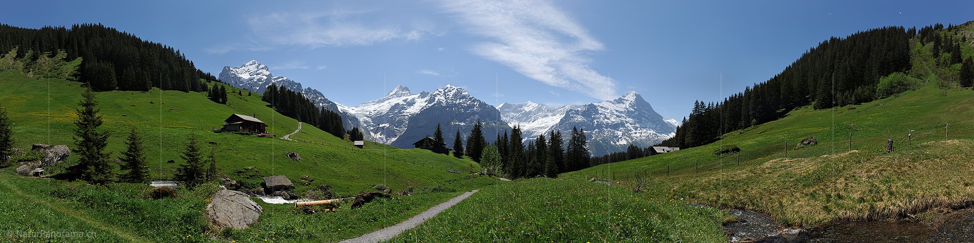 P012933b: Panoramafoto Saftig grüne Almwiesen vor Alpenkette
