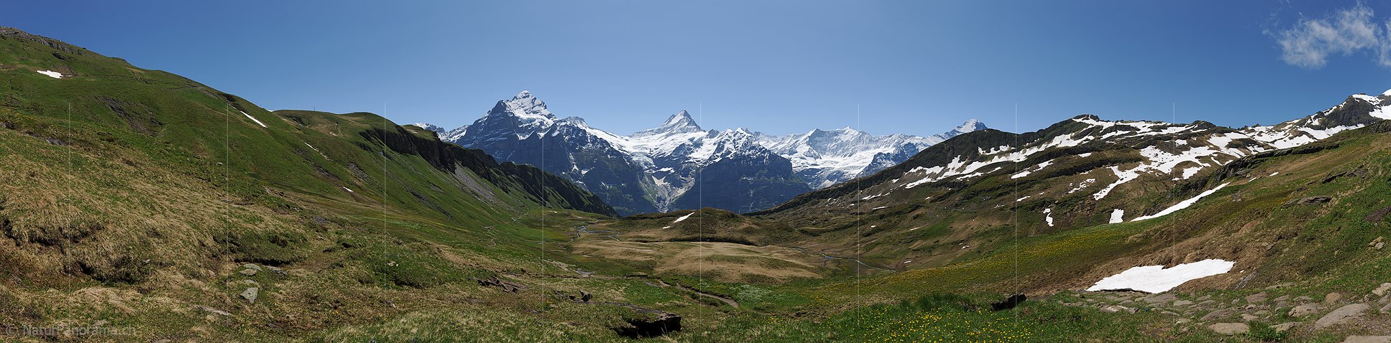 P013034: Panoramafoto Almwiesen oberhalb Grindelwald