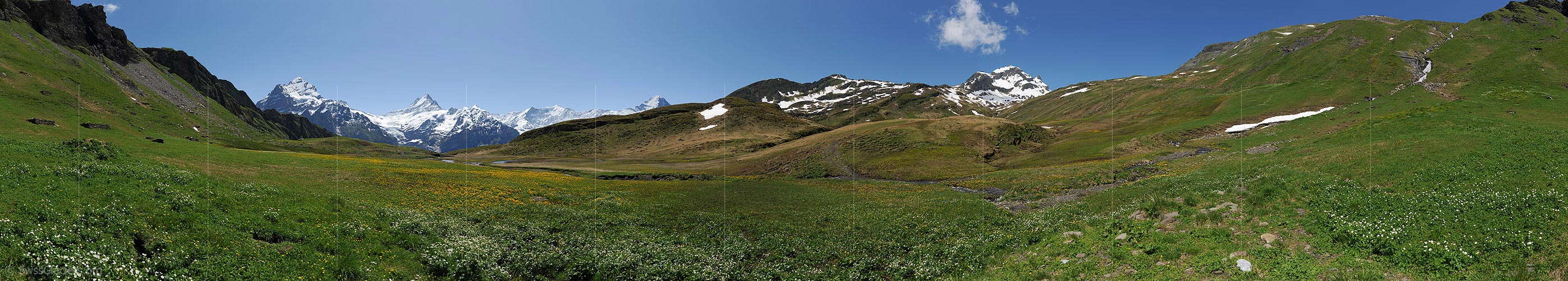 P013036: Panoramic photo Green plateau before Bernese Alps