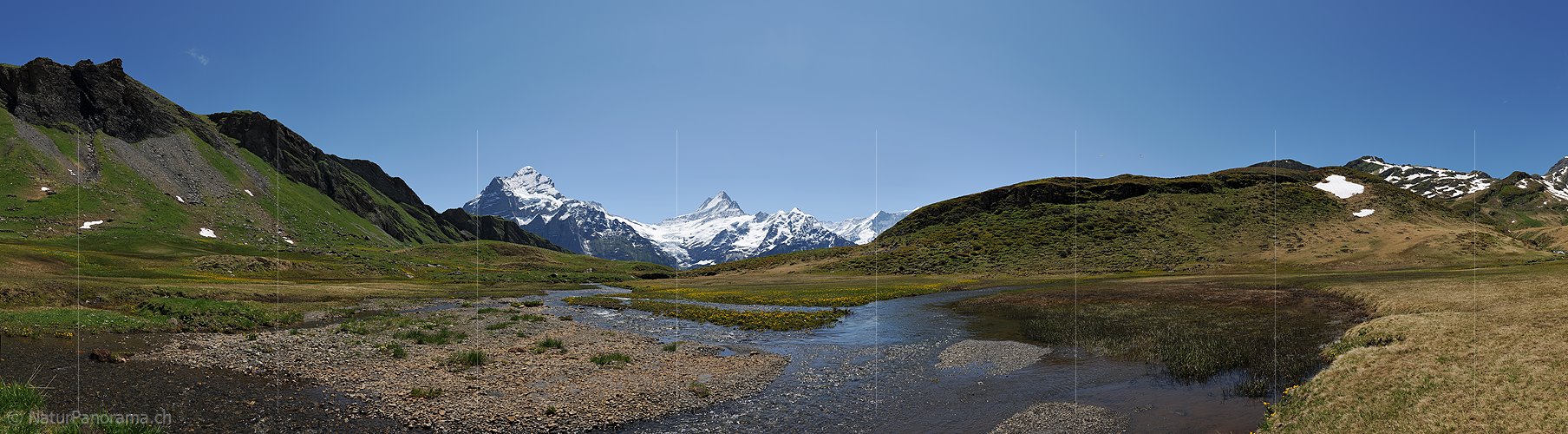P013039: Panoramafoto Schwemmebene vor Berner Alpen