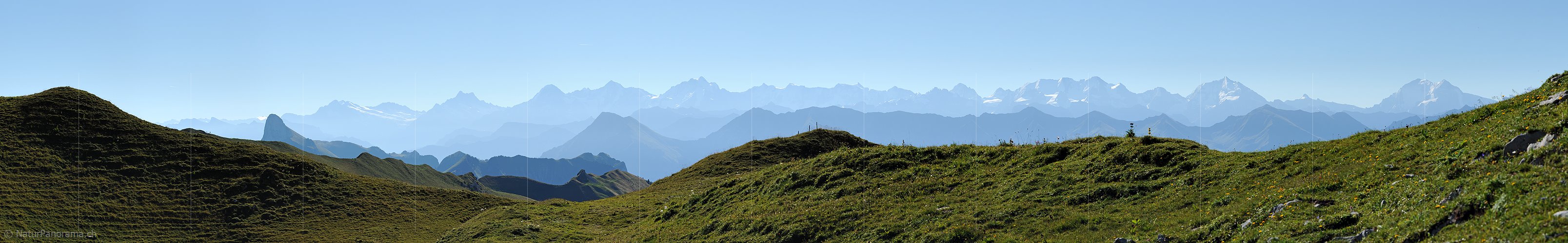 P013538a: Panoramafoto Konturen der Berner Alpen