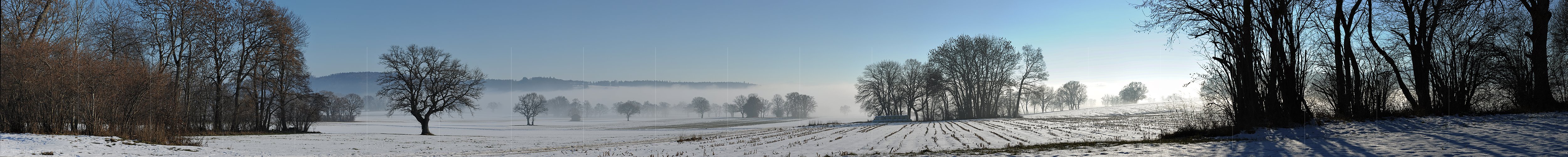 P014012: Panoramafoto Einzelbäume und Baumgruppen im aufkommenden Nebel