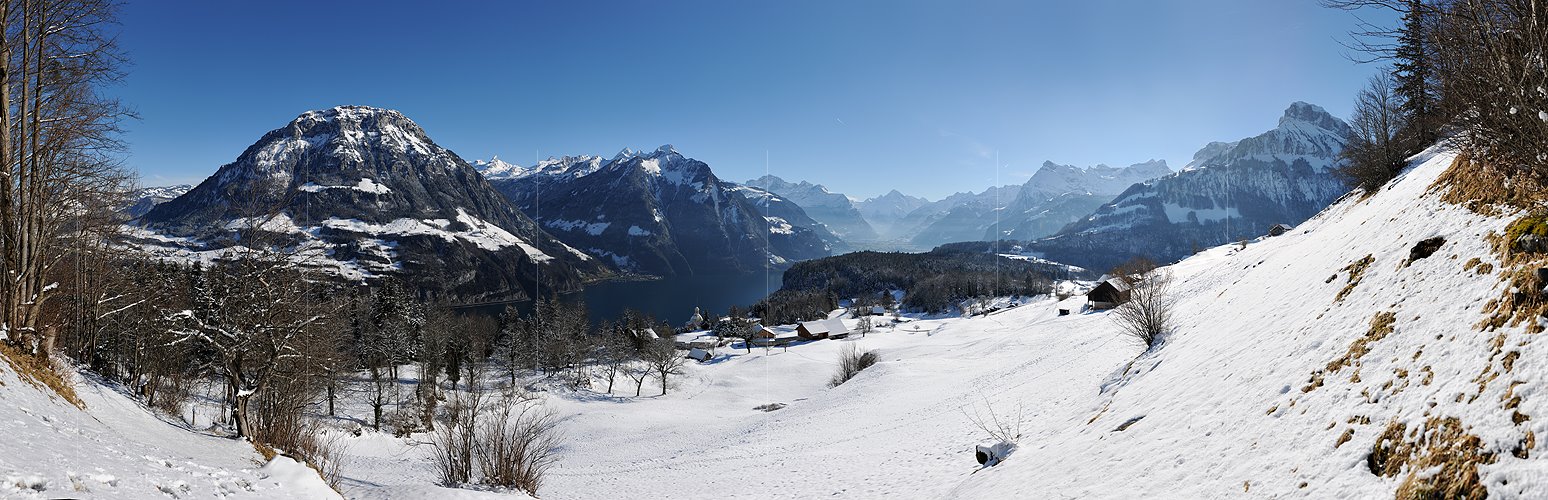 P014148: Panoramafoto Urner Alpen und Urnersee