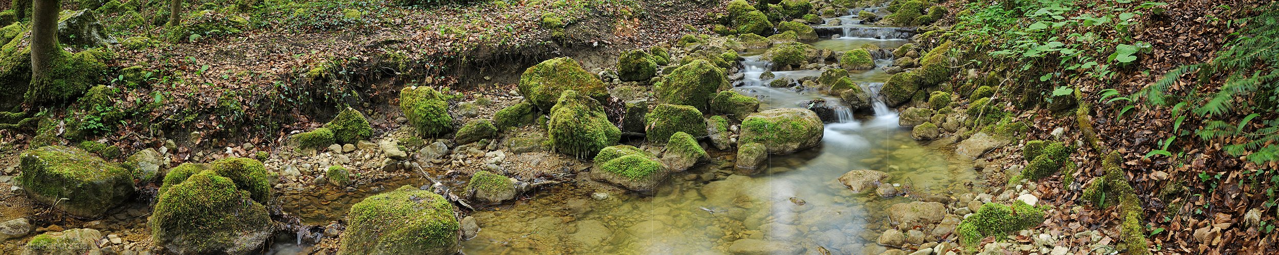 P014432a: Panoramafoto Bach im Frühlingswald (Langzeitbelichtung)