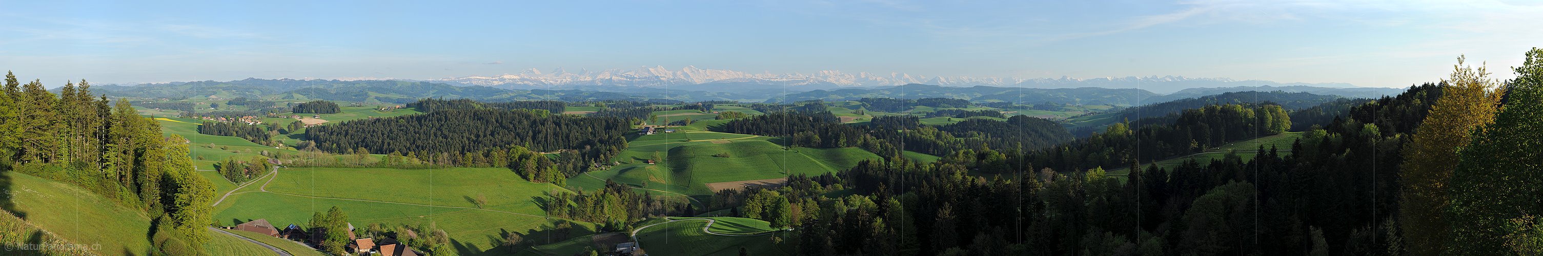 P014516: Grosses Panoramafoto Emmentaler Hügellandschaft und Berner Alpen von der Lueg