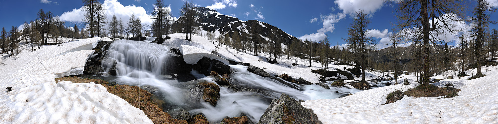 P014619: 360° Panoramic photo Mountain stream with waterfall in sparse larch forest