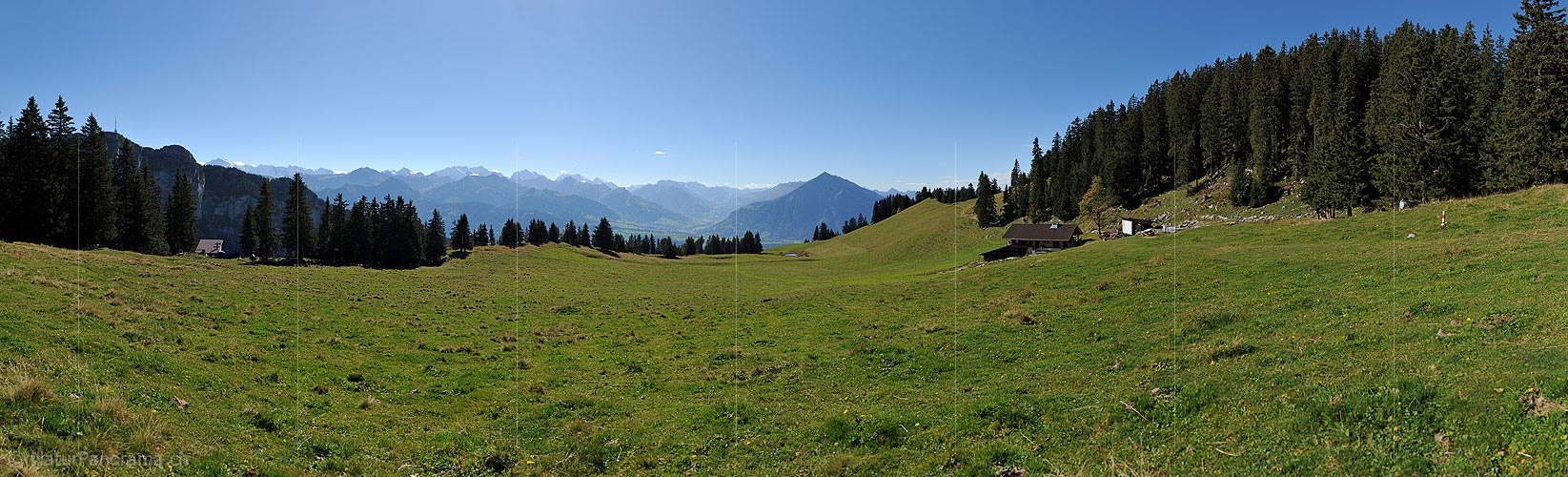 P015209: Panoramic photo Alpine Meadow in the foothills