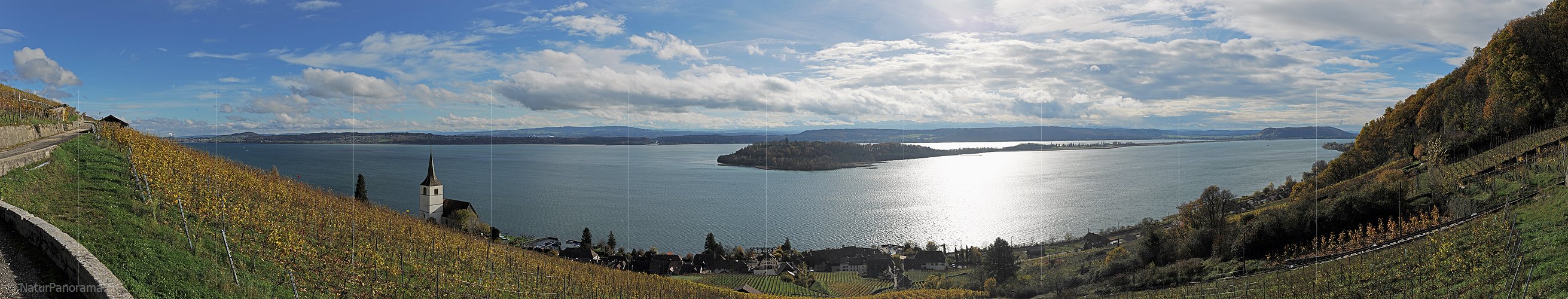 P015420: Panoramafoto Rebberge bei Ligerz und Bielersee