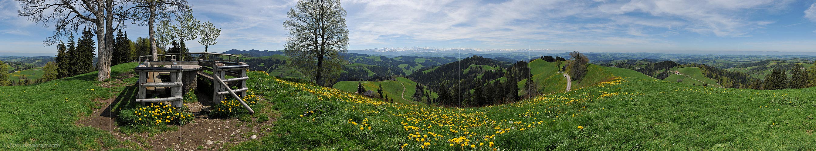 P015433: 360° Panoramic photo Spring in the hills