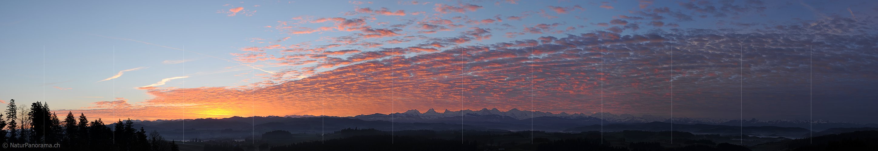 P015446: Panoramafoto Morgenstimmung mit glühenden Wolken über den Berner Alpen