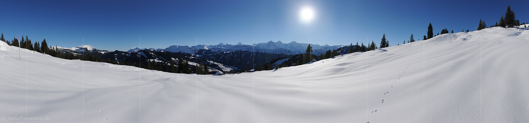 P015636: Panoramafoto Winterlandschaft mit grosser Schneefläche im Vordergund