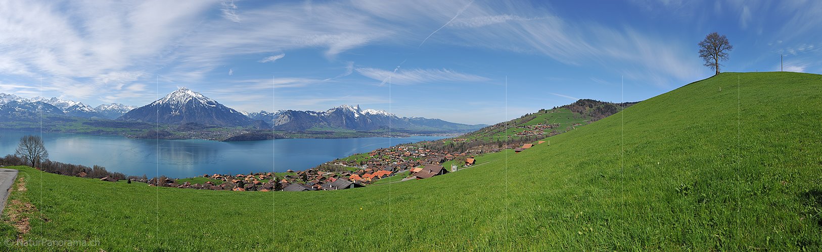 P015885: Panoramafoto Niesen und Thunersee