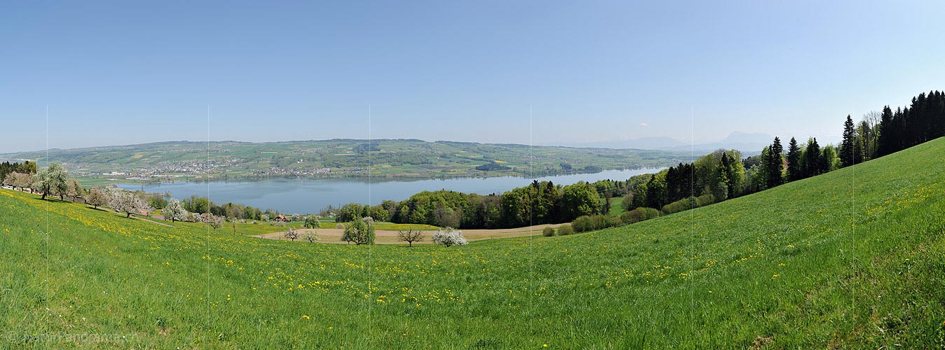P016041: Panoramic photo Lake Baldegg