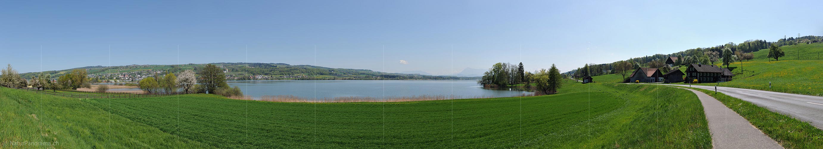 P016043: Panorama Lake Baldegg