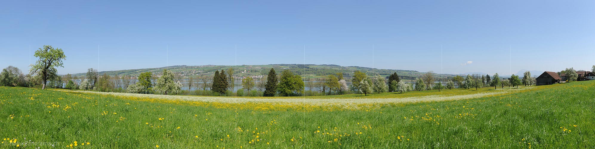 P016048: Panoramic photo Spring at Lake Baldegg