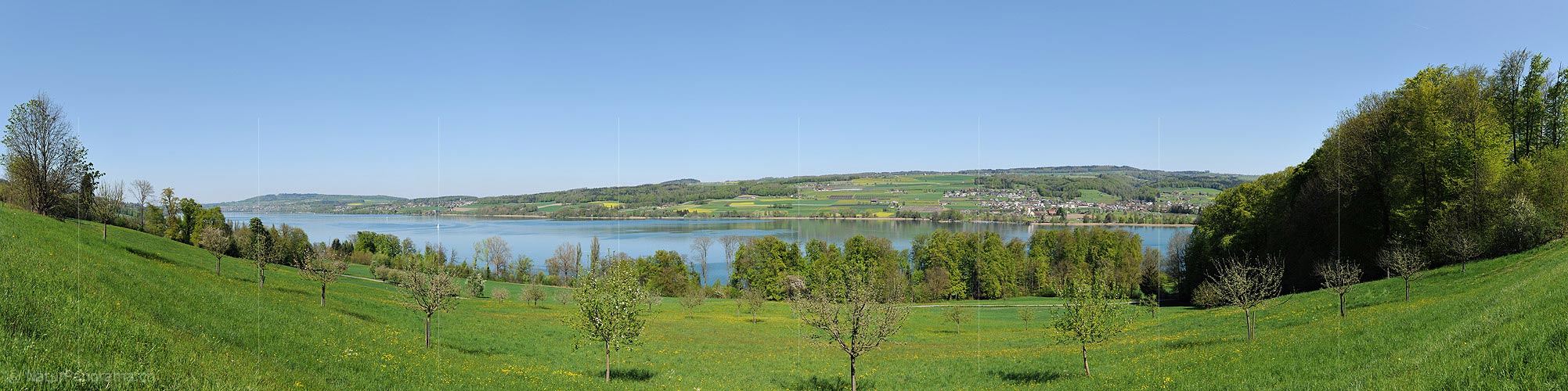 P016051: Panorama photo Lake Hallwil near Beinwil am See