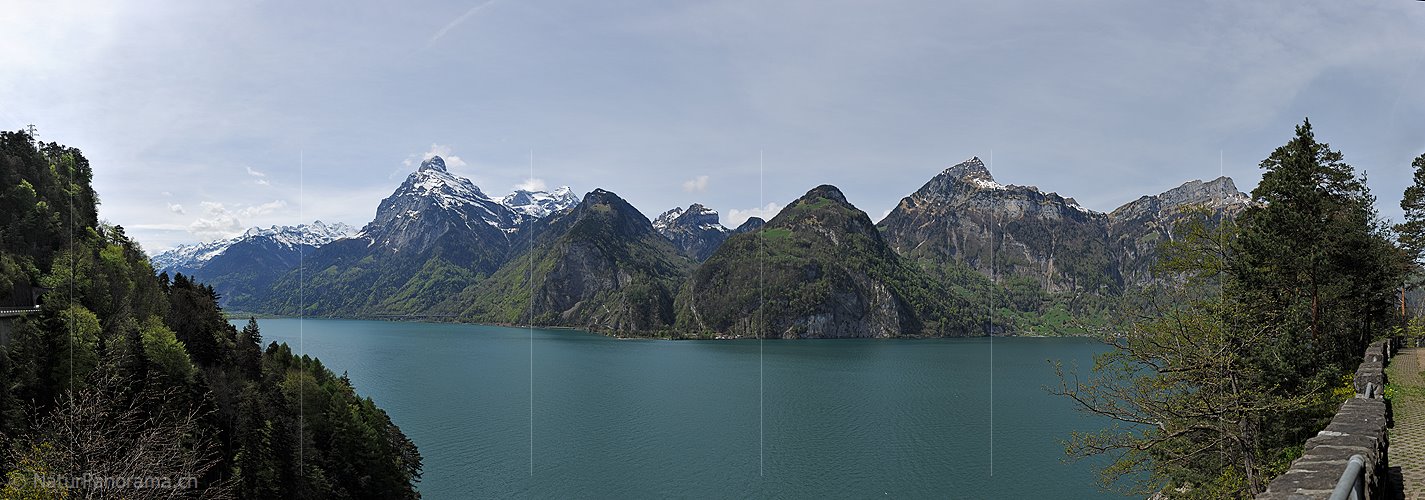 P016083: Panoramafoto Urnersee und Uri-Rotstock