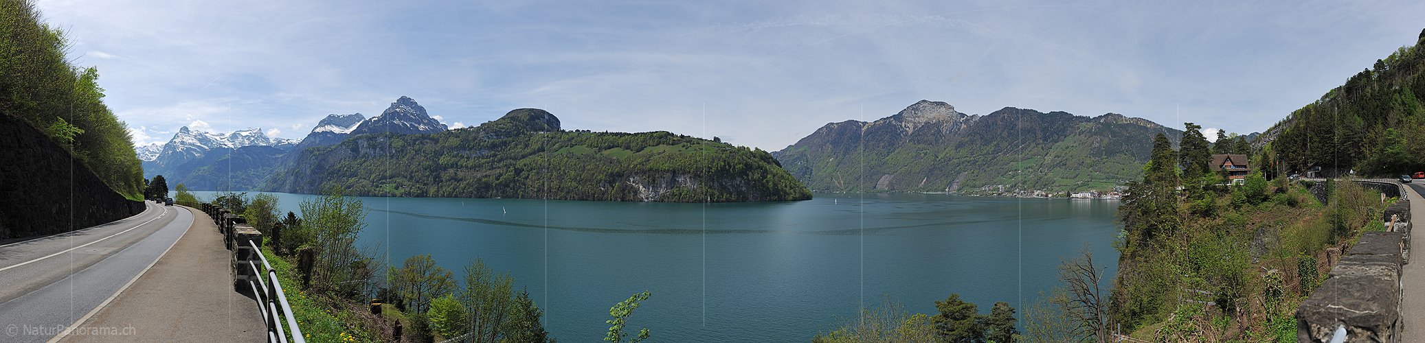P016088: Panoramafoto Urnersee bei Morschach