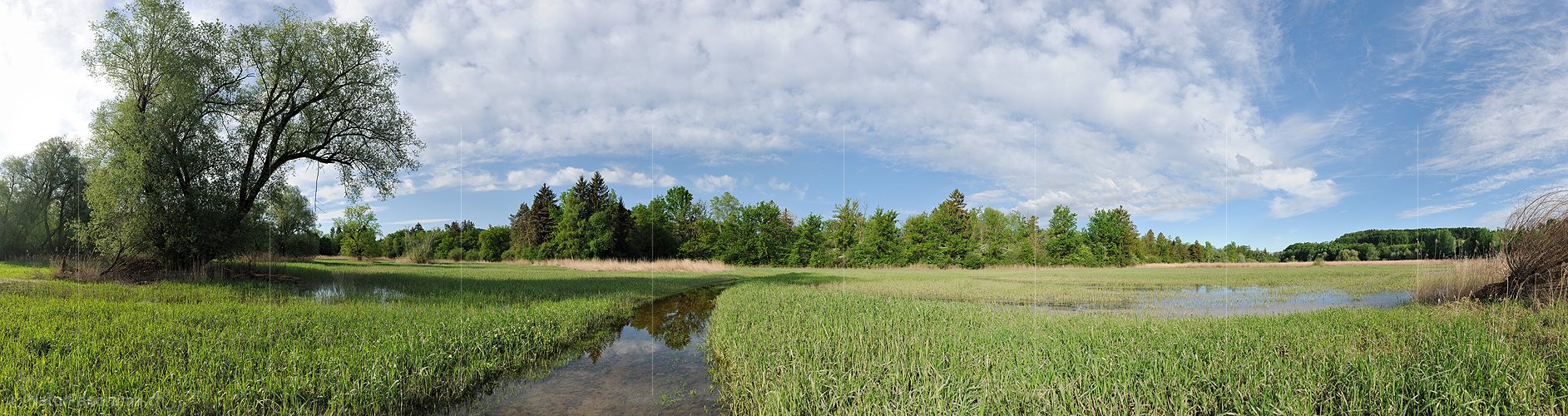 P016162: Panoramafoto Geflutete Riedlandschaft an der Aare