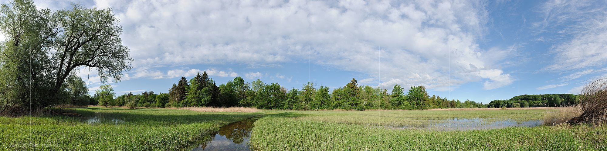 P016162a: Panoramafoto Geflutete Riedlandschaft an der Aare