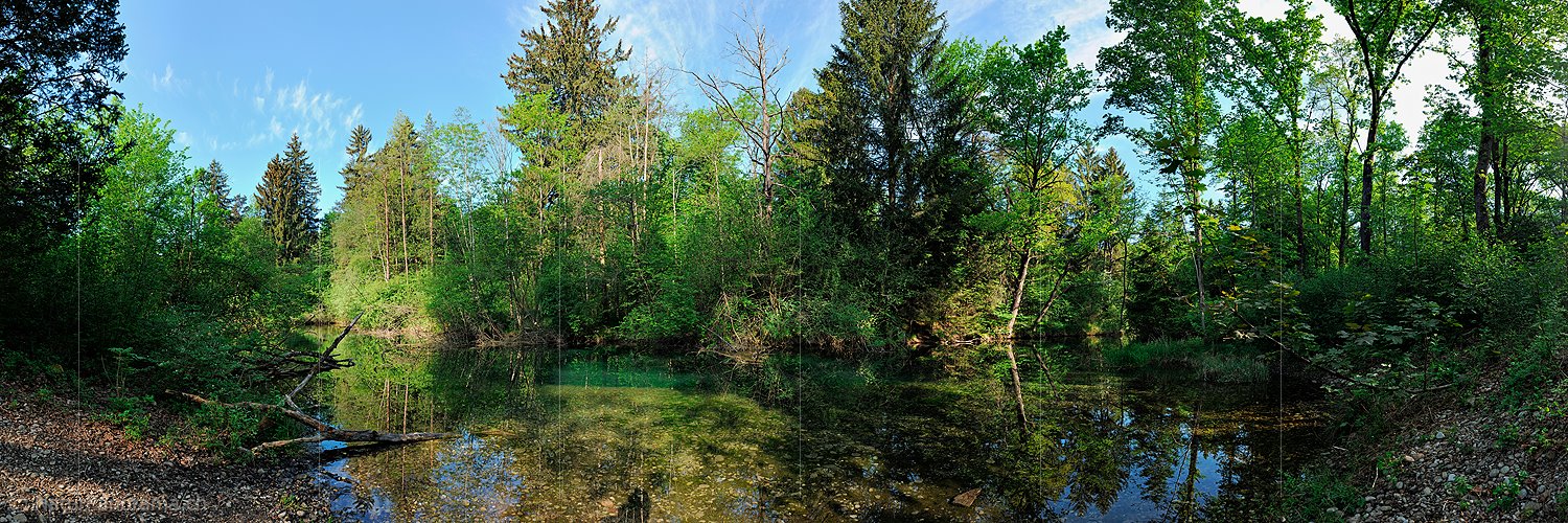 P016171: Panoramafoto Ruhiger Wasserlauf in Auenwald