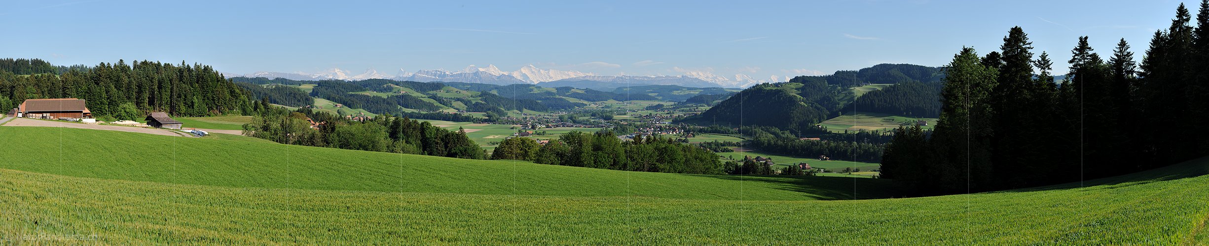 P016255: Panoramafoto Grüne Hügellandschaft vor Alpenpanorama