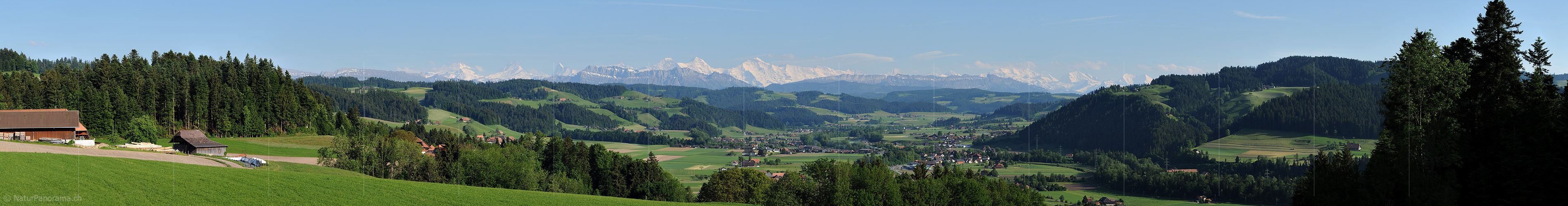 P016255a: Panoramabild Grüne Hügellandschaft vor Alpenpanorama