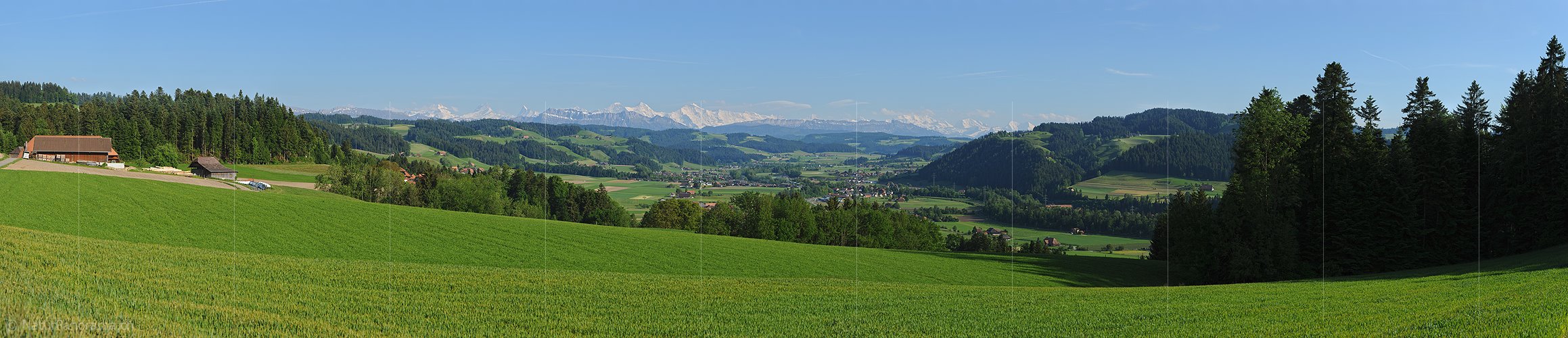 P016255b: Panoramafoto Grüne Hügellandschaft vor Alpenpanorama