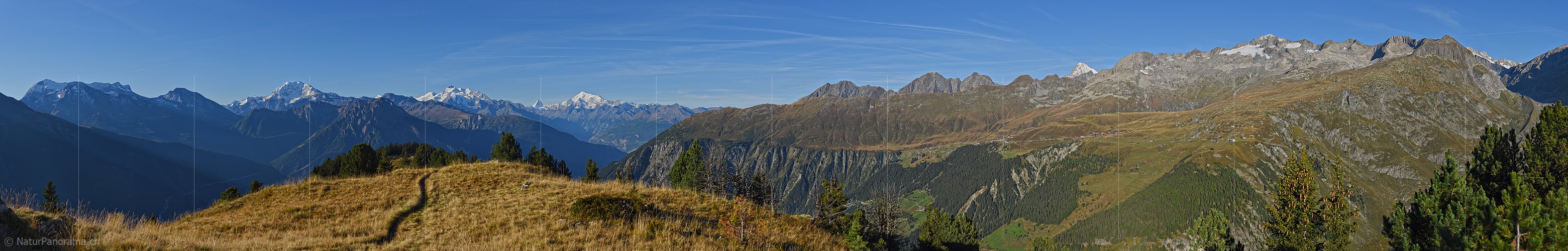 P016875: Panoramafoto Walliser Alpen vom Riederhorn