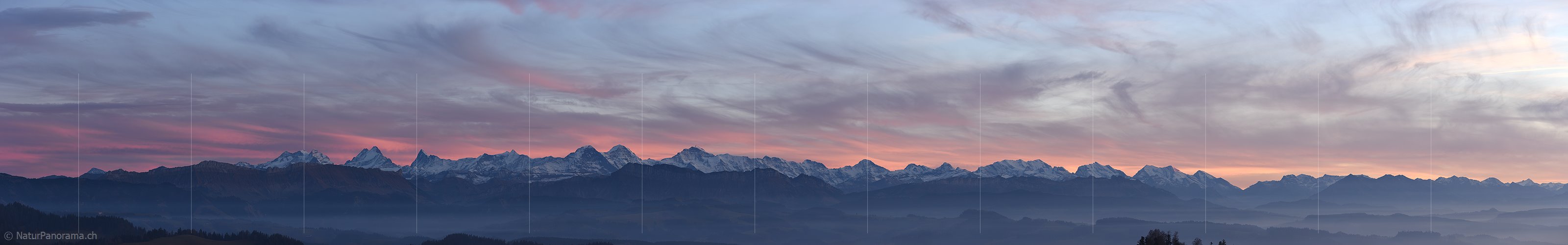 P016936: Panoramafoto Fein gefärbte Schleierwolken über den Berner Alpen