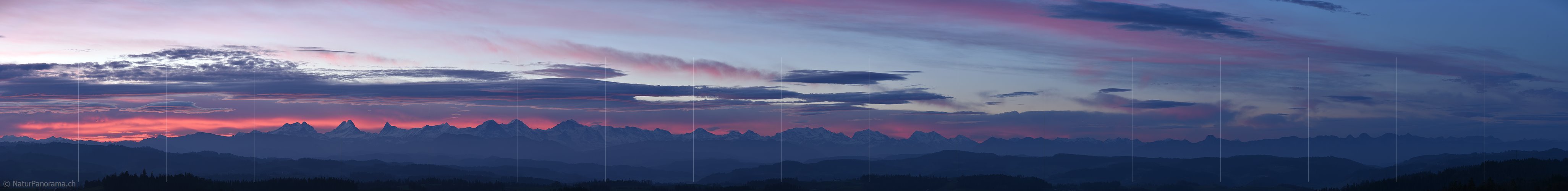 P017024: Panoramafoto Kräftiges Morgenrot über den Berner Alpen