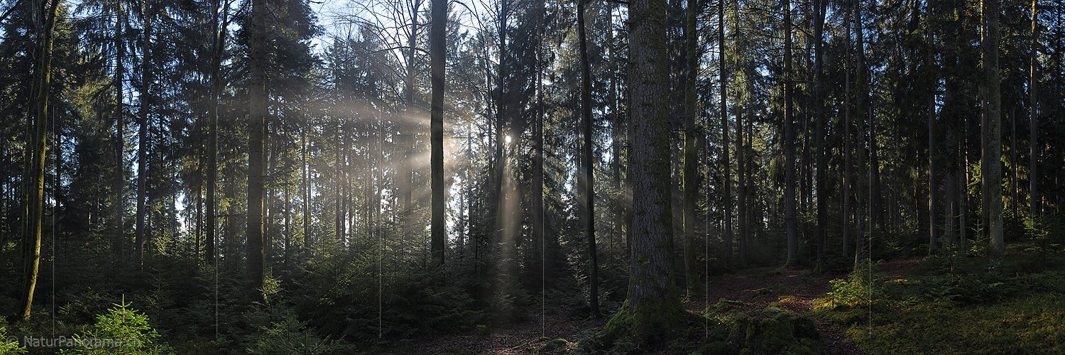 P017355: Panoramafoto Lichtstrahlen