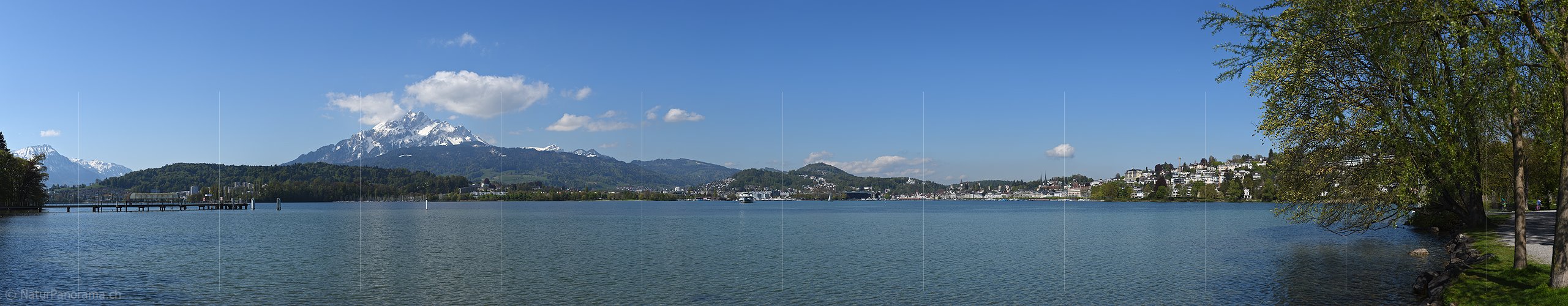 P017603a: Panoramafoto Pilatus und Luzerner Seebecken