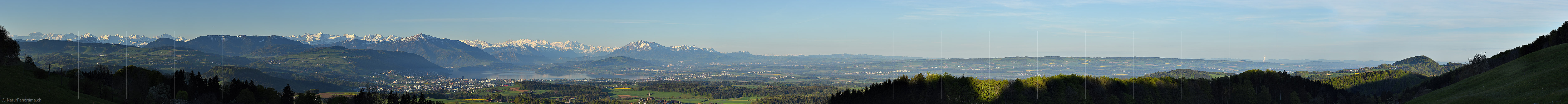 P017691a: Panoramafoto Zentralalpen, Zentralschweiz und Mittelland vom Albis