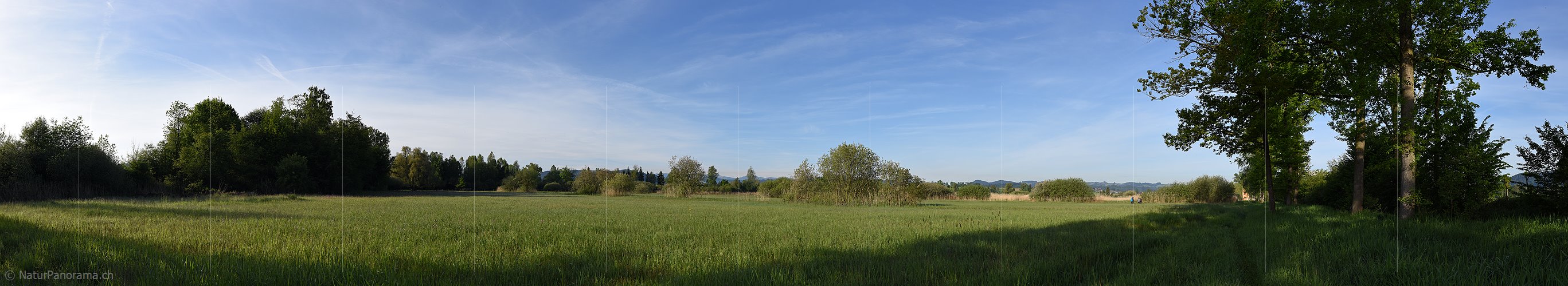 P017807: Panoramafoto Blick in das Naturschutzgebiet Wauwilermoos