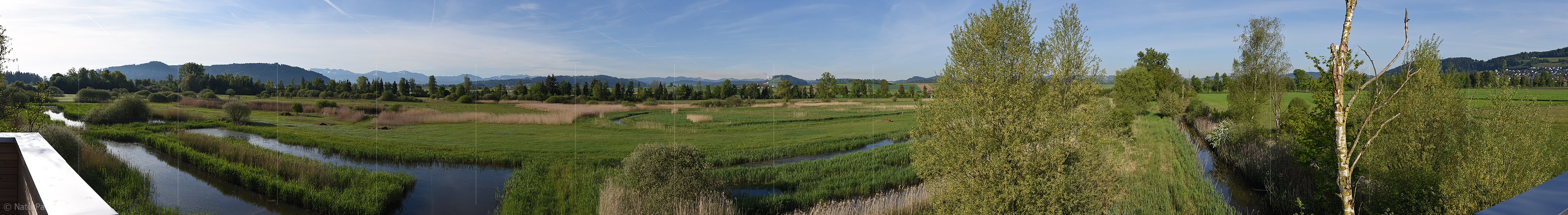 P017809: Panoramafoto Blick vom Beobachtungsturm über das Naturschutzgebiet Wauwilermoos