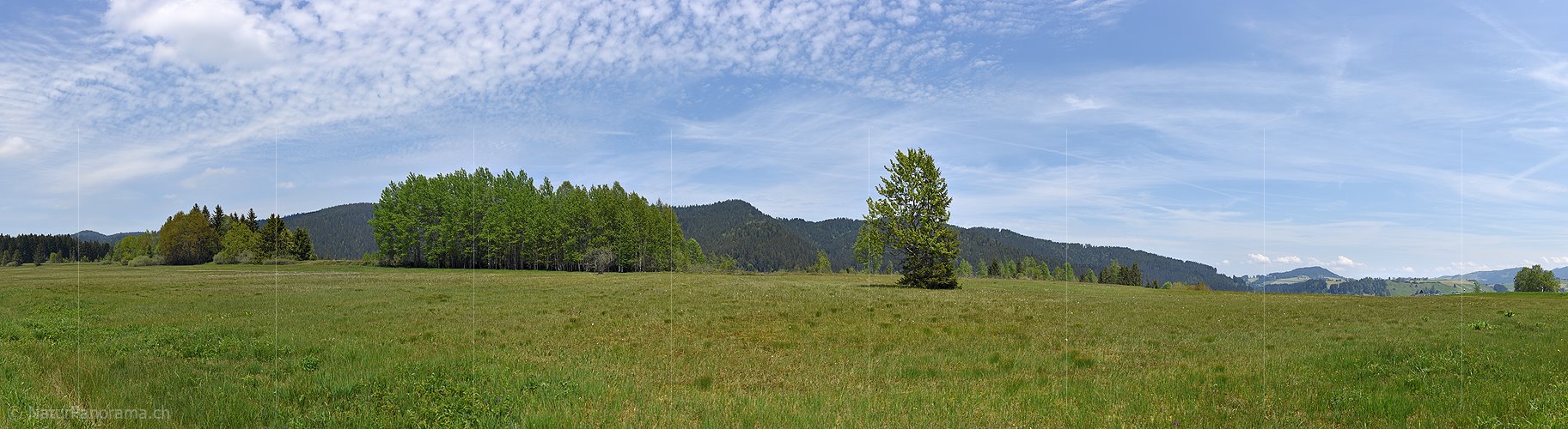 P017864: Panoramafoto Moorlandschaft bei Rothenthurm