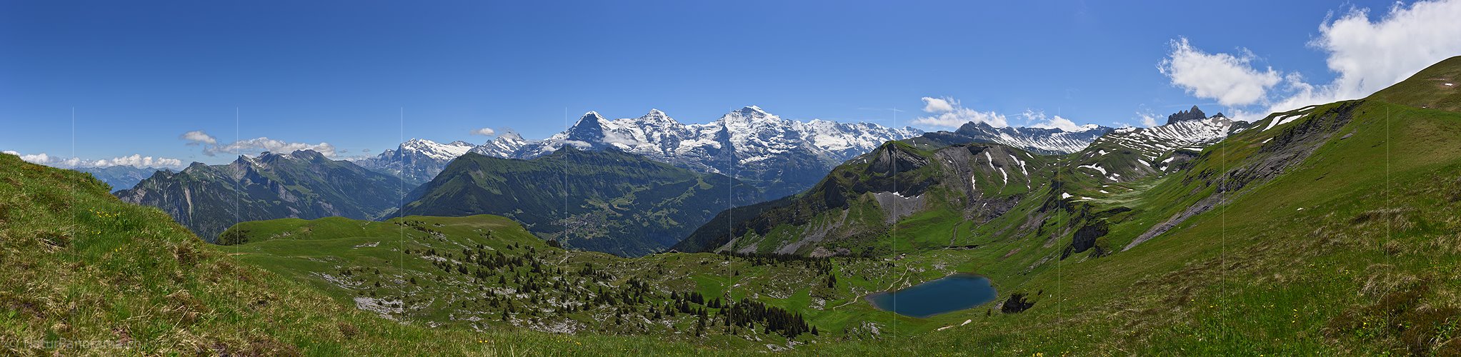 P018067d: Panoramafoto Jungfrauregion im Sommer
