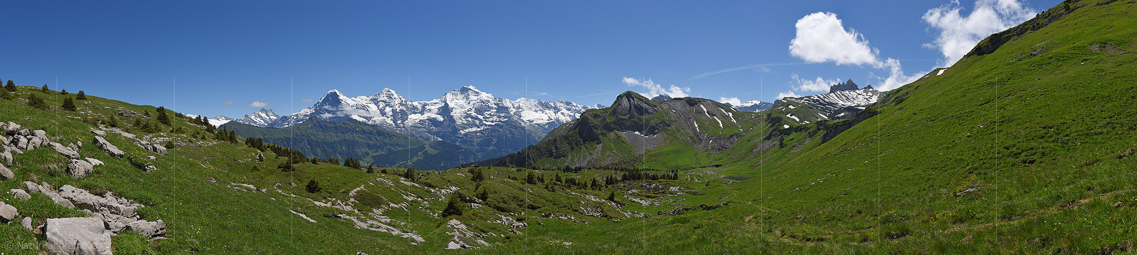 P018068: Panoramafoto Eiger, Mönch und Jungfrau aus der Region Lobhornhütte