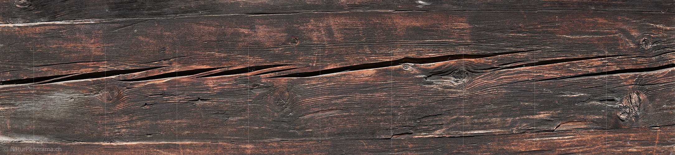 P018671: Panorama Struktur Holz antik (Lärche)