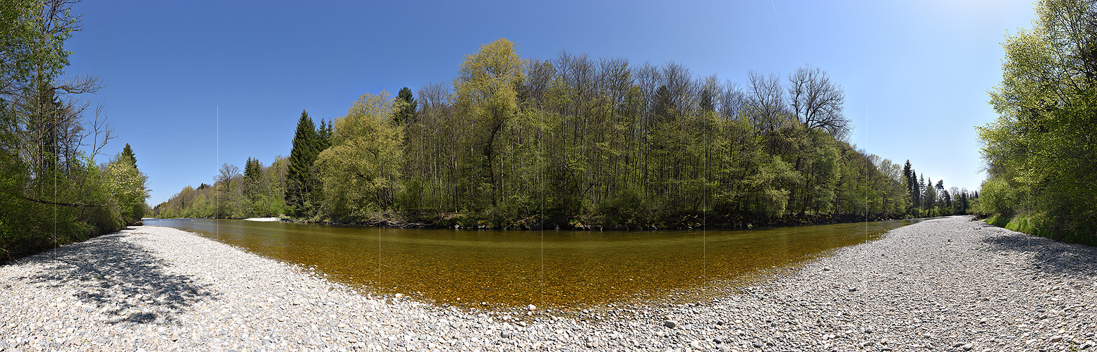 P019616: Panorama photo River and spring forest