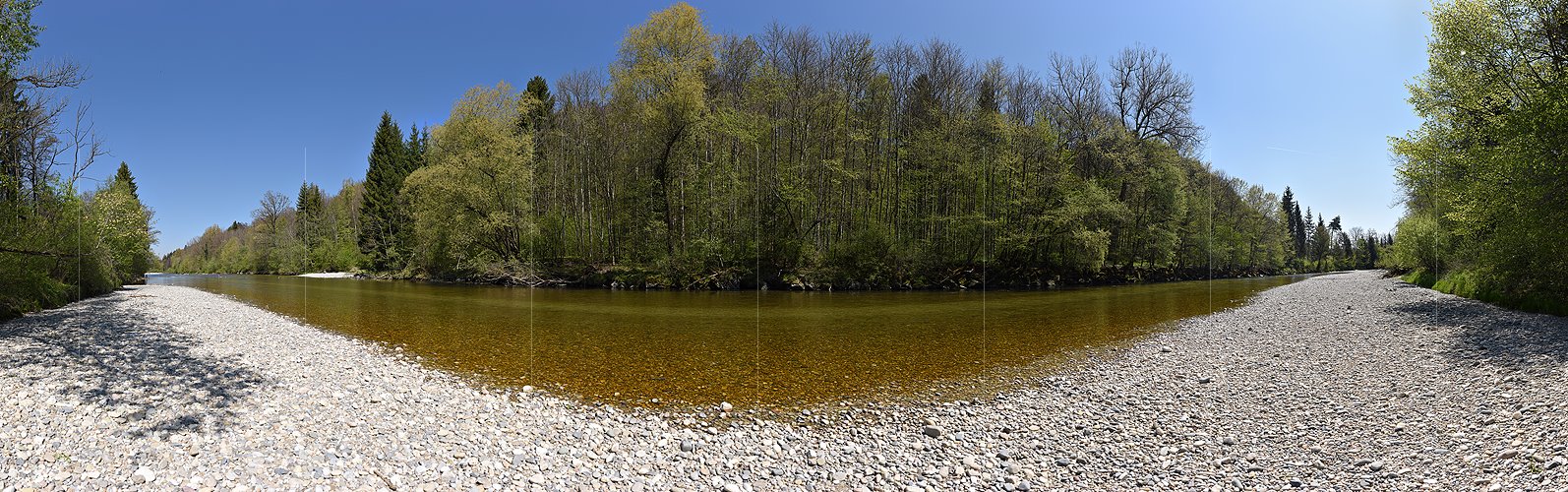 P019618: Gigapixel-Panoramafoto Fluss und Frühlinswald