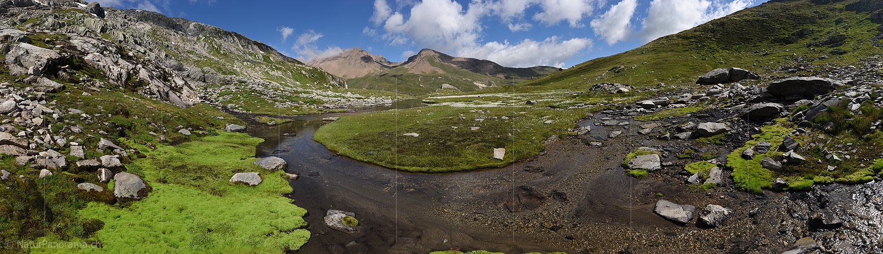 P020155: Gigapixel Bild einer Naturlandschaft