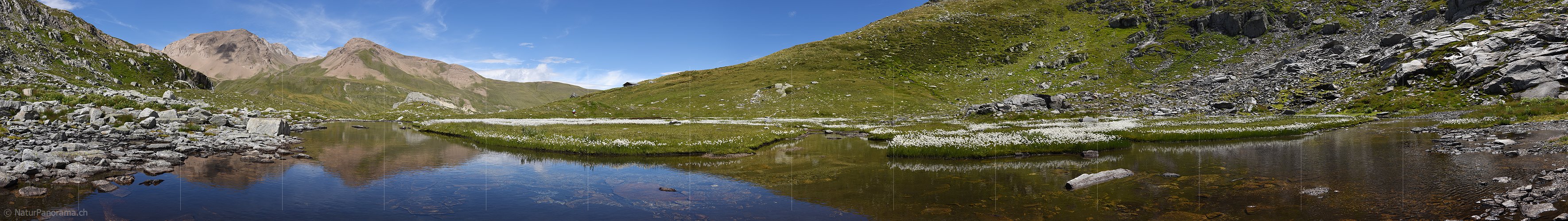 P020243a: Panoramafoto Ruhig fliessender Bergbach und Wollgras in Naturlandschaft