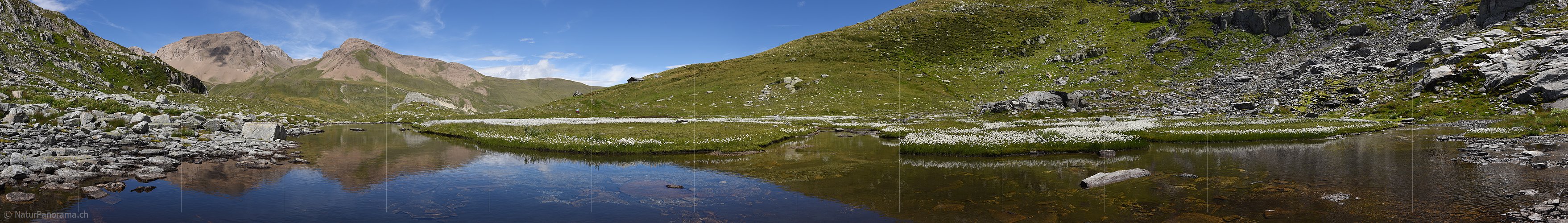 P020243c: Panoramafoto Ruhig fliessender Bergbach und Wollgras in Naturlandschaft